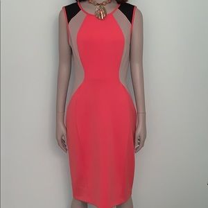 Maggy London Knit Dress